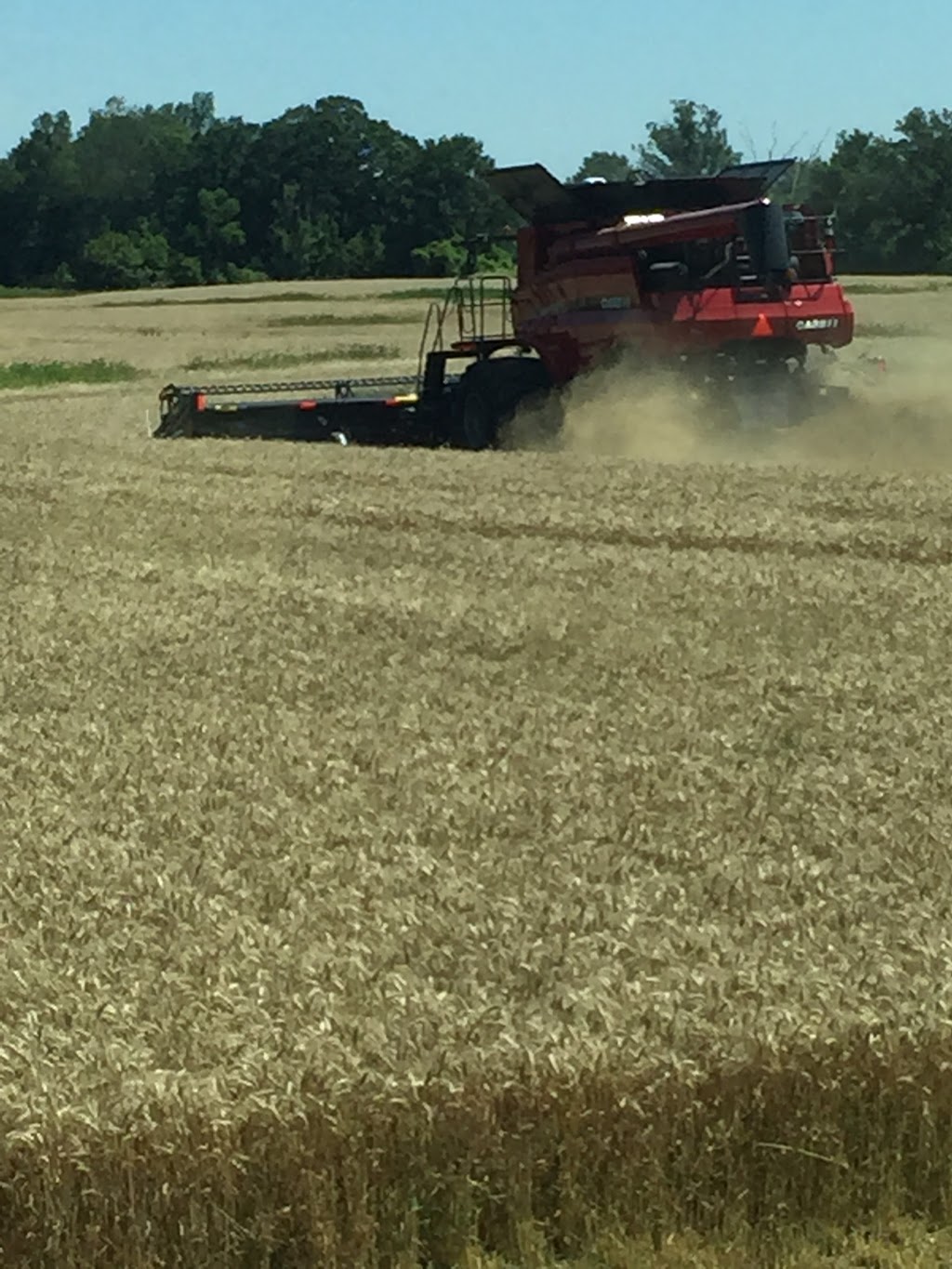 Lenos Custom Farming Ltd. | 1195 Concession 12 Townsend, Waterford, ON N0E 1Y0, Canada | Phone: (289) 244-9120
