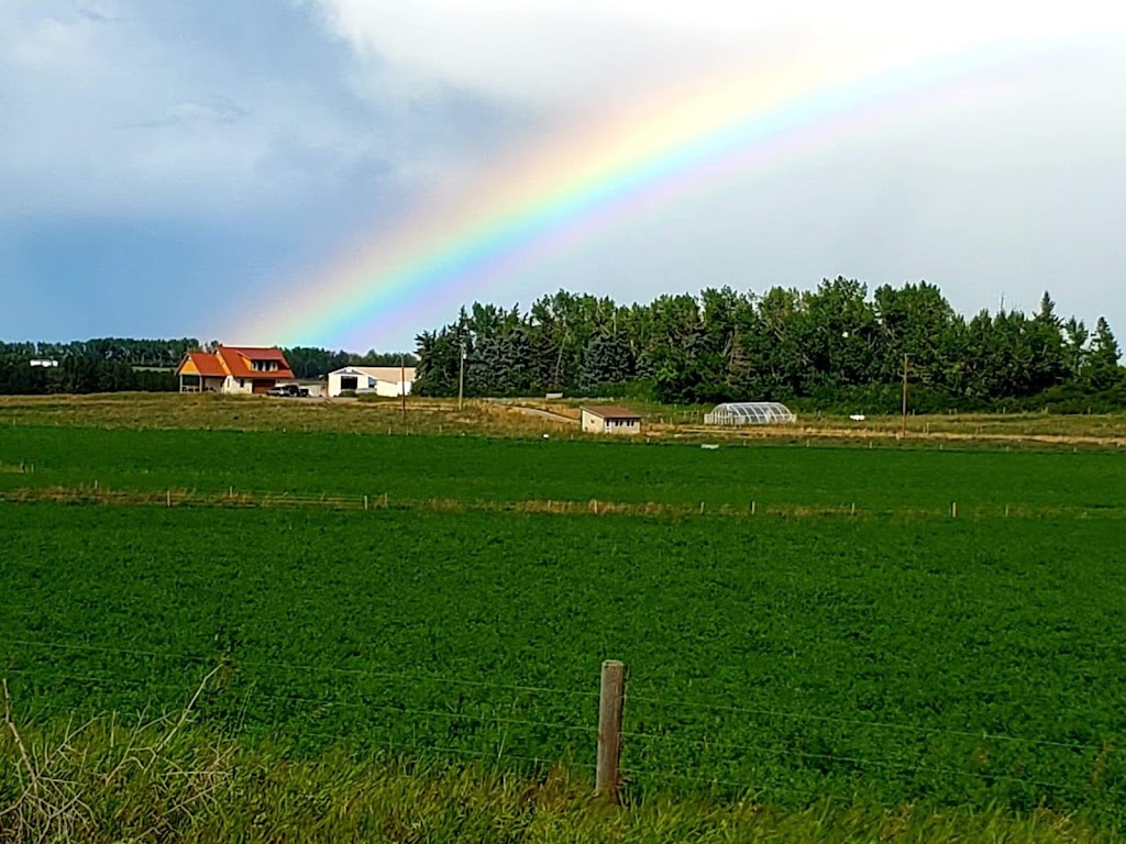 Happiness By The Acre | 2168 TWP 304, Didsbury, AB T0M 0W0, Canada | Phone: (403) 796-8293