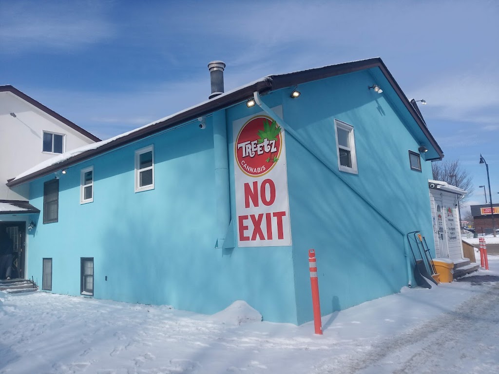 Treetz Cannabis | 280 First St, Collingwood, ON L9Y 1B1, Canada | Phone: (647) 382-9333