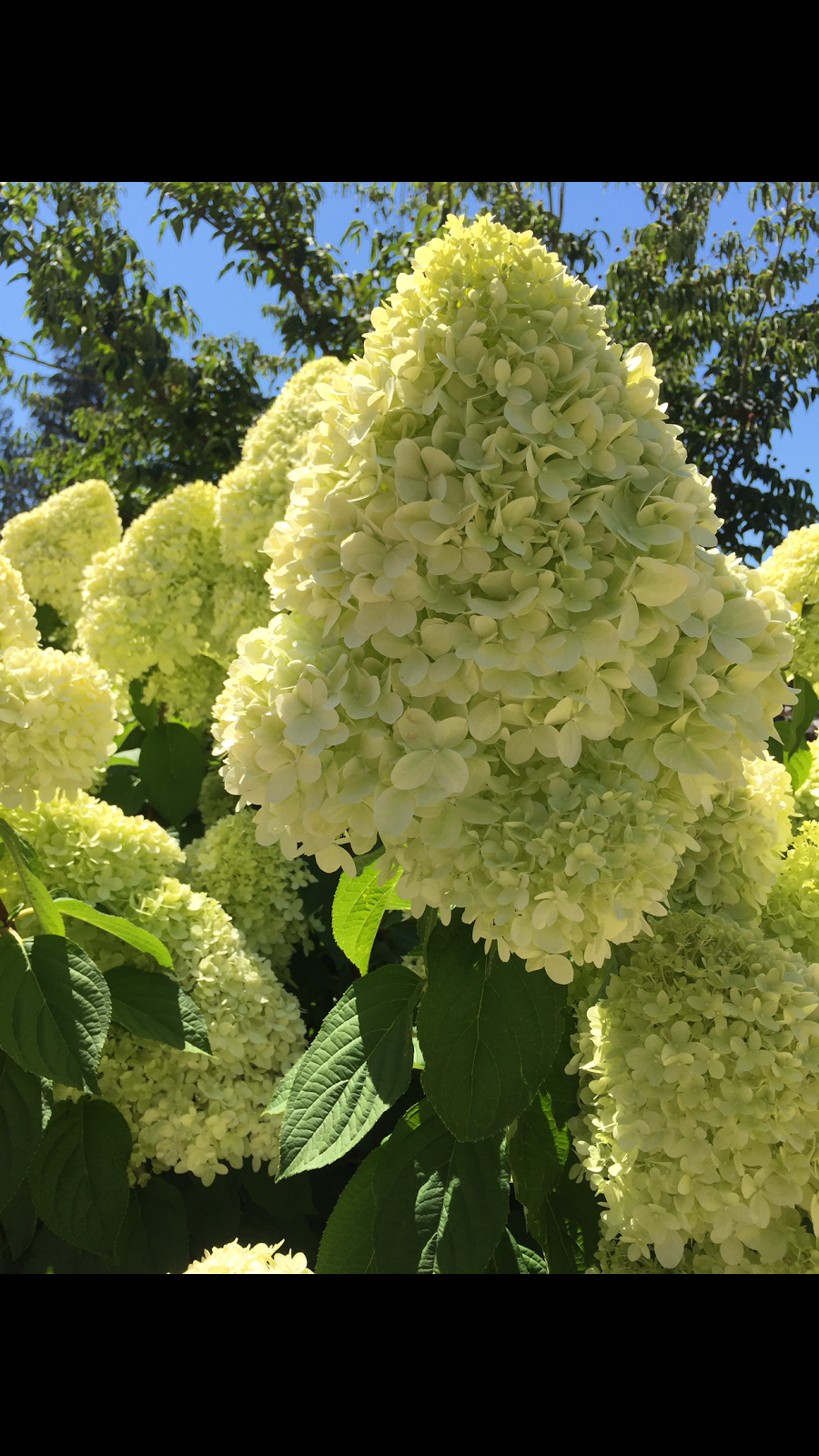 Michael Smith Park | 5638 Birney Ave, Vancouver, BC V6S 0H8, Canada | Phone: (604) 827-5158