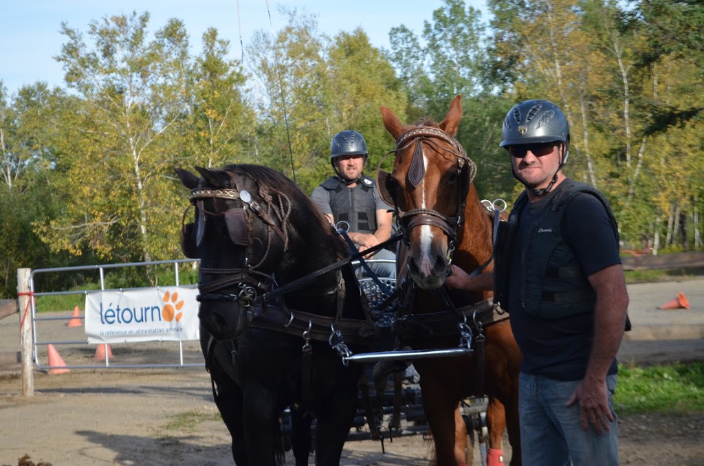 Attelage Performance Quebec | 2161 Chemin de Bélair, Québec, QC G3J 0A6, Canada | Phone: (418) 803-4220