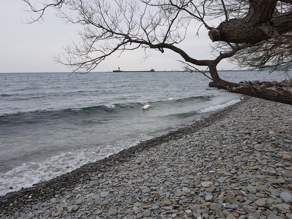 Tall Oaks Park | Mississauga, ON L5G 4V2, Canada
