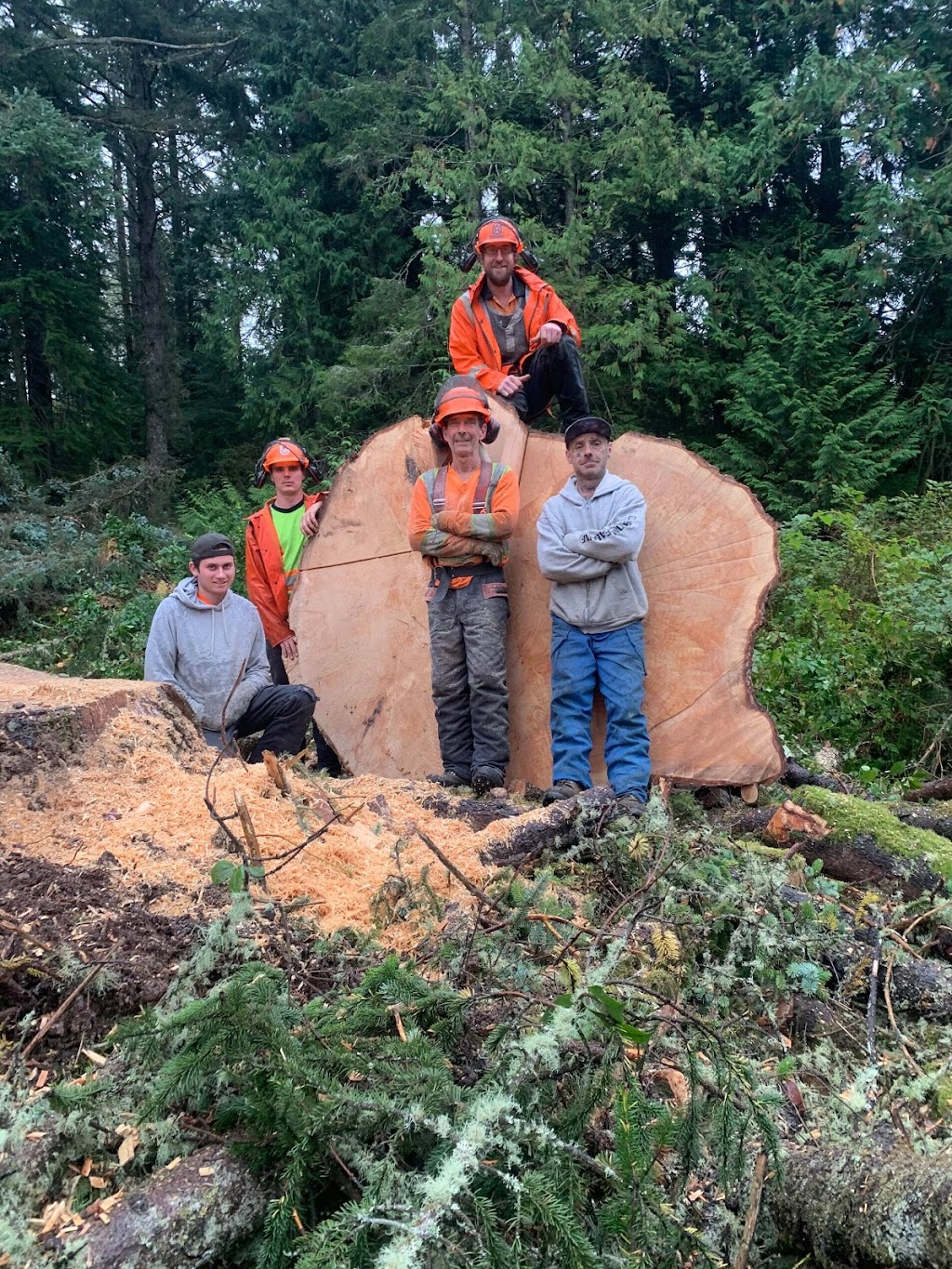 Competition Tree Service | Shawnigan Lake, BC V0R 2W0, Canada | Phone: (250) 744-6498