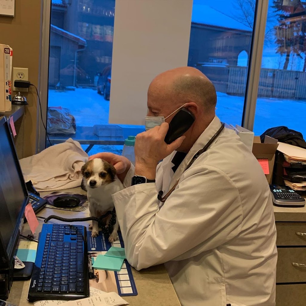 Signal Hill Animal Clinic | 1919 Sirocco Dr SW #416, Calgary, AB T3H 2Y3, Canada | Phone: (403) 249-3411
