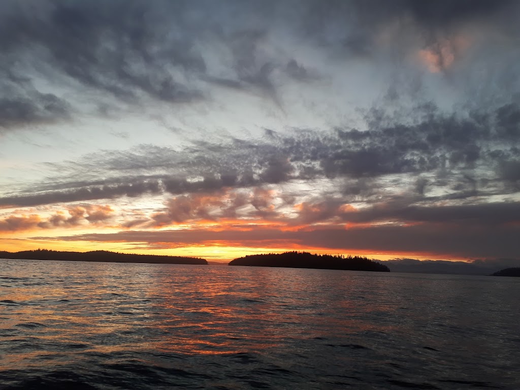 Inlet Oasis & Venture West Sports Fishing | 564 Burlo Island Road, Bamfield, BC V0R 1B0, Canada | Phone: (250) 728-3555