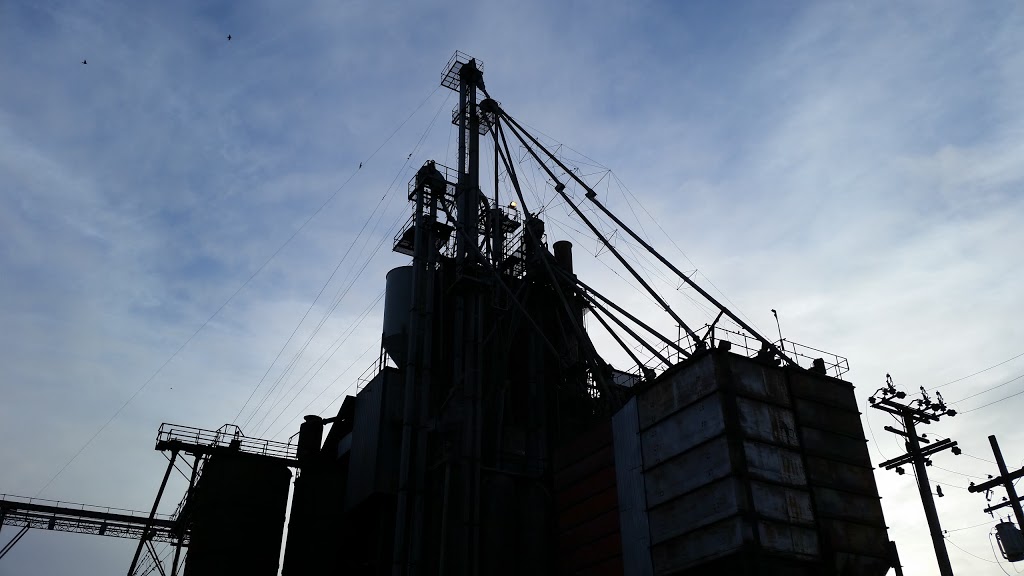 Top Shelf Feeds Inc | 2800 Roberts Rd, Duncan, BC V9L 6W3, Canada | Phone: (250) 746-5101