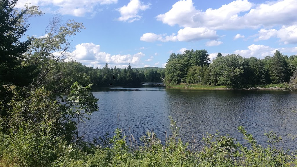 Palmer Rapids Twin Music Festival | Brudenell, Lyndoch and Raglan, ON K0J 2G0, Canada | Phone: (613) 758-2747