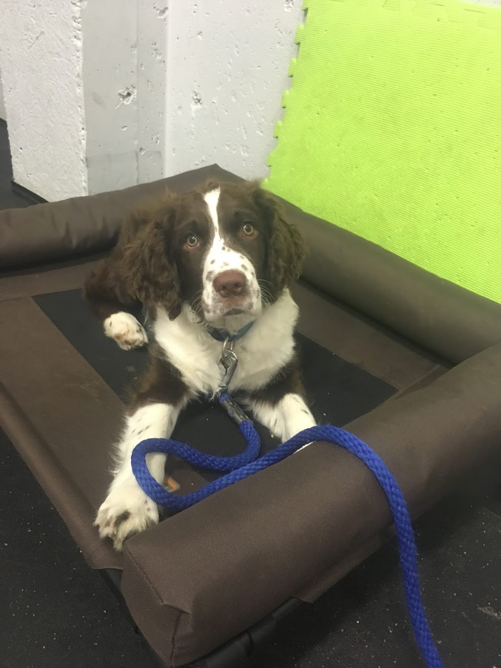 JV Training | 32 Wells St, Guelph, ON N1E 1K7, Canada | Phone: (226) 979-8109