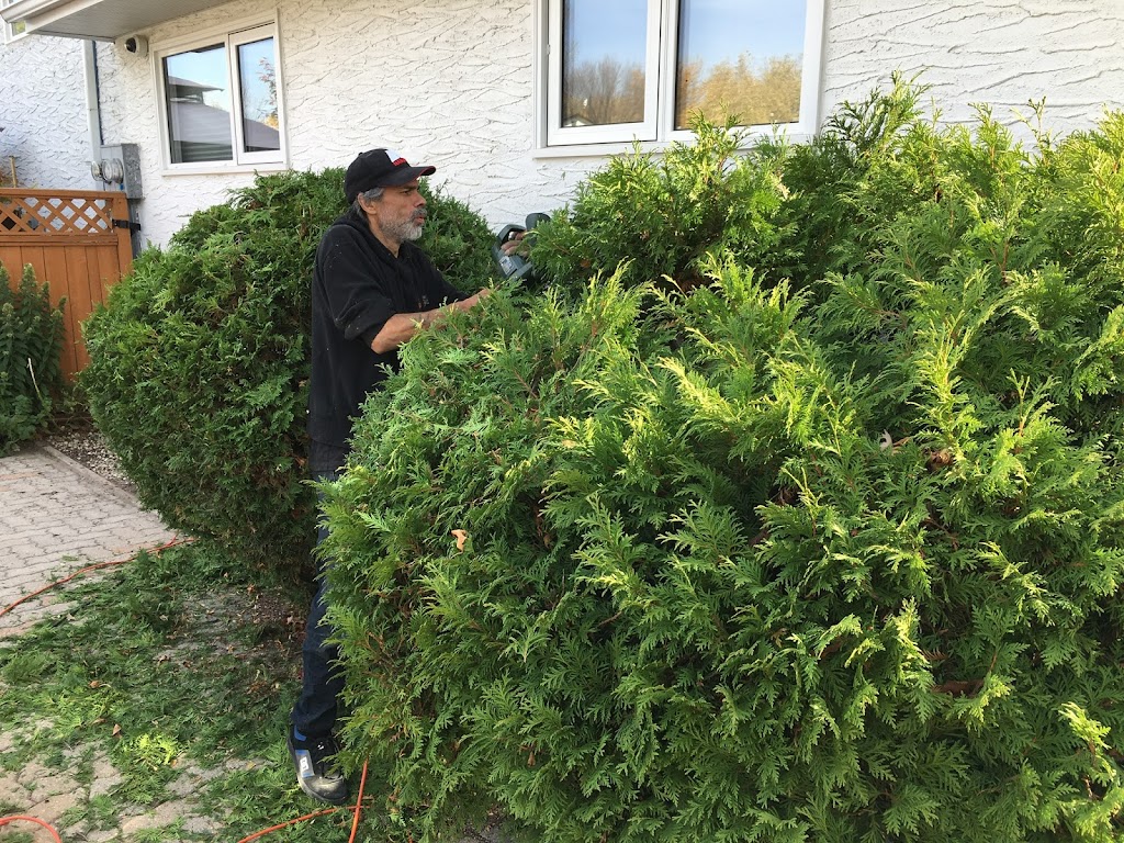 guyslandscaping | Winnipeg, MB R3P 0S5, Canada | Phone: (204) 899-6707