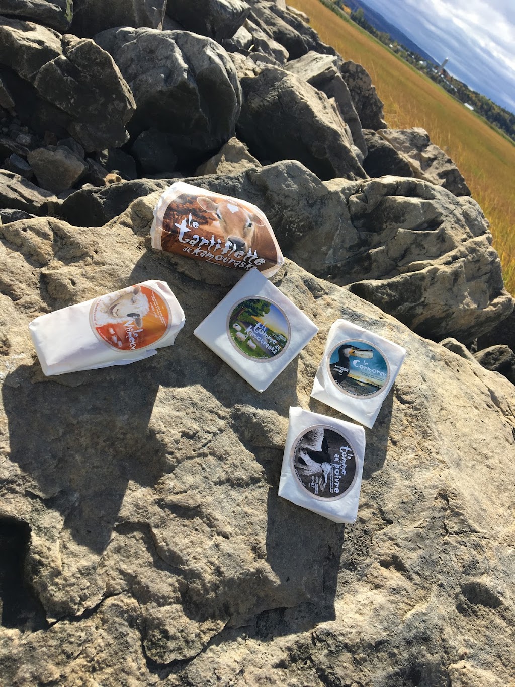 Fromagerie Le Mouton Blanc | 176 QC-230, La Pocatière, QC G0R 1Z0, Canada | Phone: (418) 856-6627