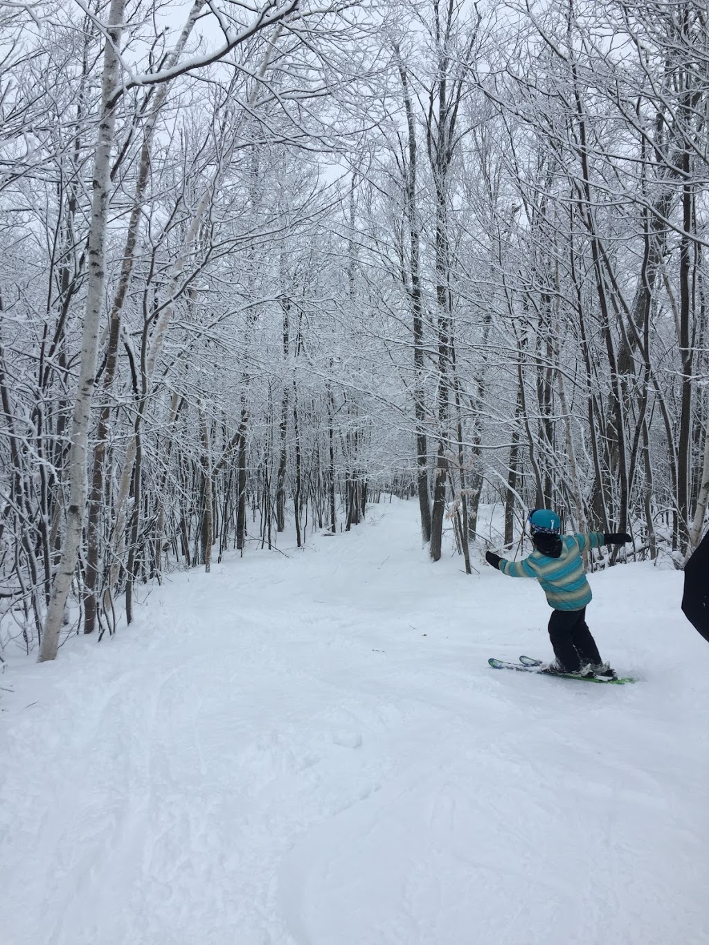 Sommet Morin Heights | 231 R. Bennett, Morin-Heights, QC J0R 1H0, Canada | Phone: (450) 227-4671
