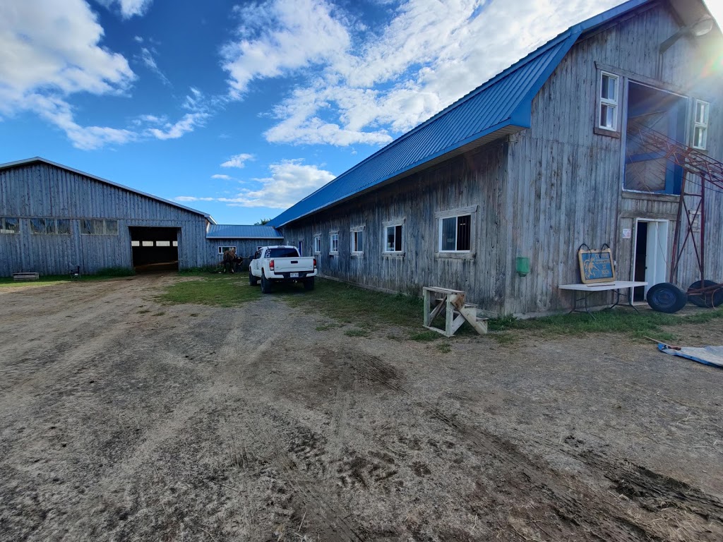 Centre Équestre St-Roch.. | 365 Rang de la Rivière N, Saint-Roch-de-lAchigan, QC J0K 3H0, Canada | Phone: (514) 265-3908