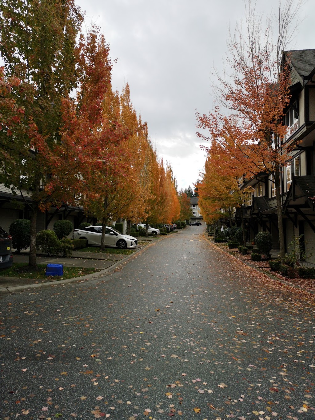 Sagebrook | 6747 203 St, Langley, BC V2Y 3B5, Canada | Phone: (604) 514-1588