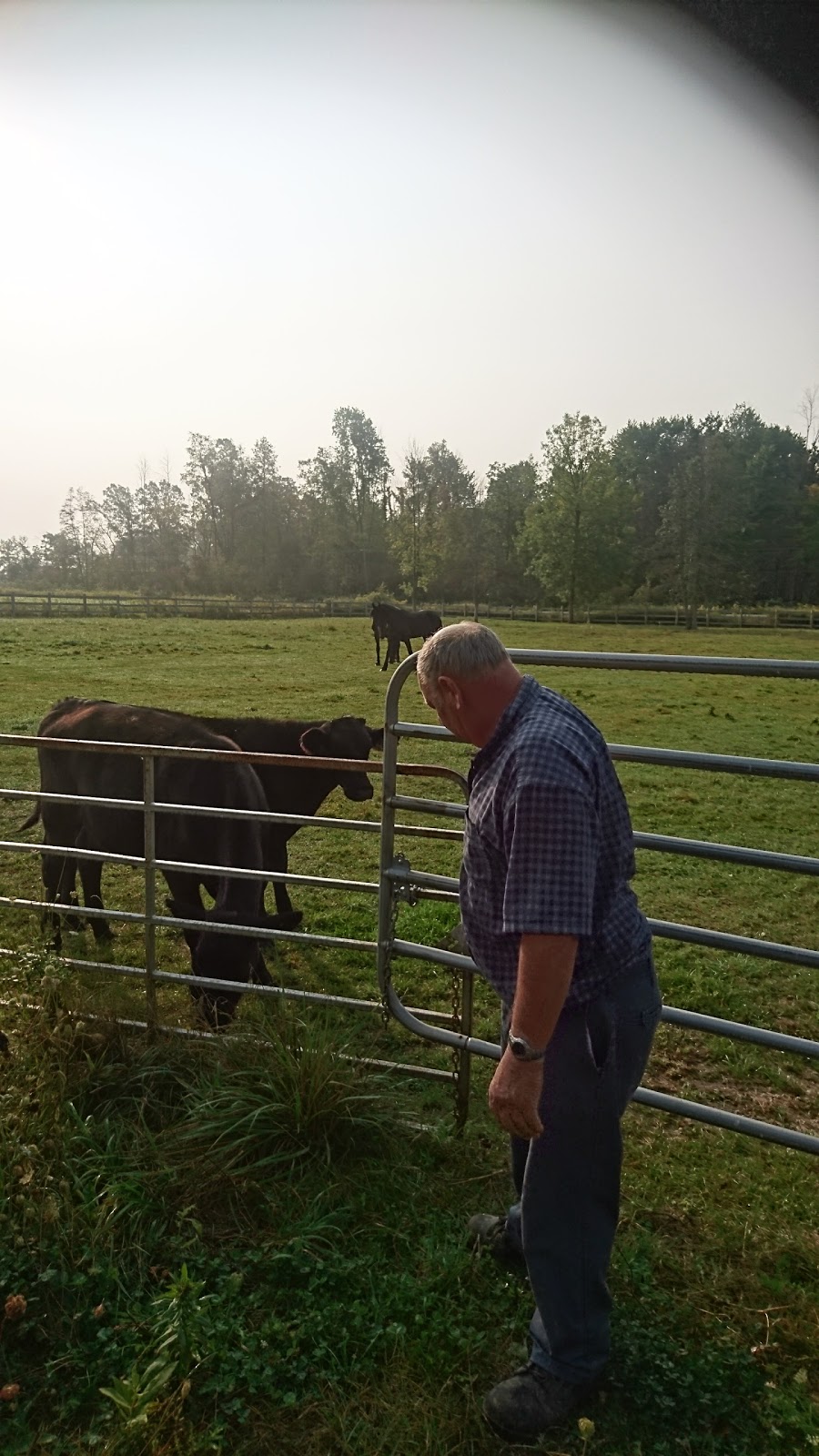 Kraak Farms | 344071 Ebenezer Rd, Mount Elgin, ON N0J 1N0, Canada | Phone: (519) 485-3568