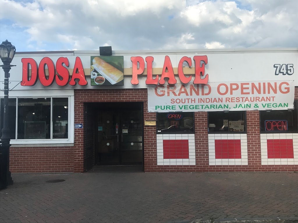 Dosa Place | 745 E Market St, Niagara Falls, NY 14301, USA | Phone: (716) 524-2144