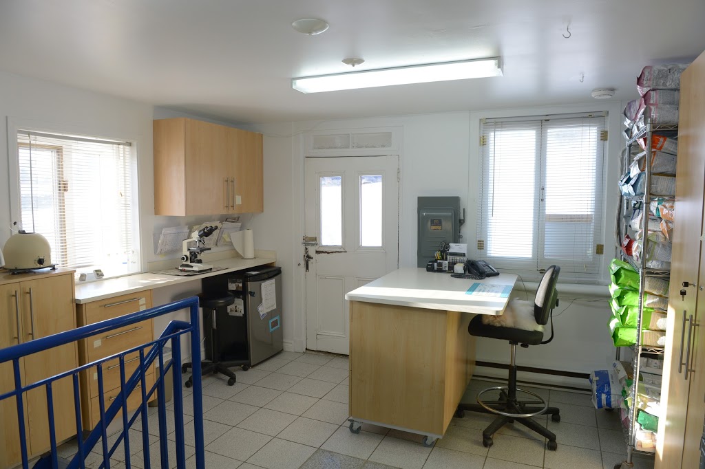 Clinique vétérinaire Cimon | 454 Rue Racine, Québec, QC G2B 1G4, Canada | Phone: (418) 842-6933