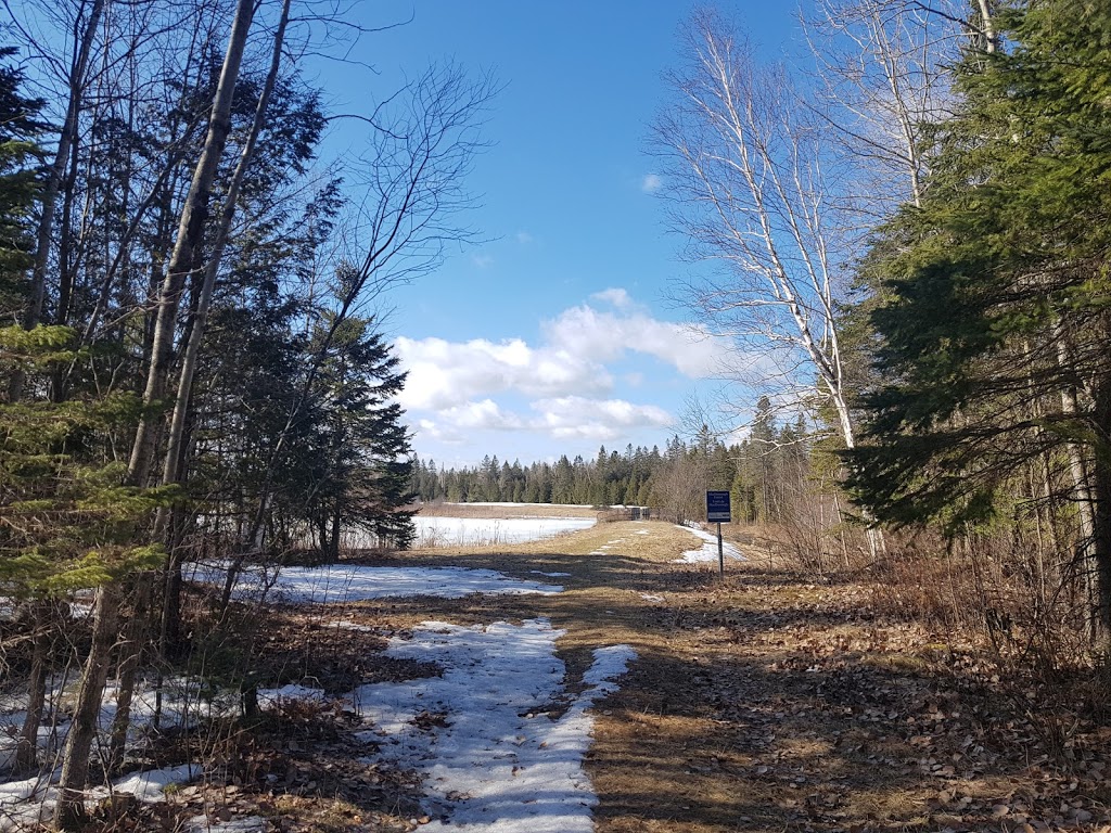 Marlborough Forest | Munster Hamlet - Richmond, Ottawa, ON K0A 2Z0, Canada