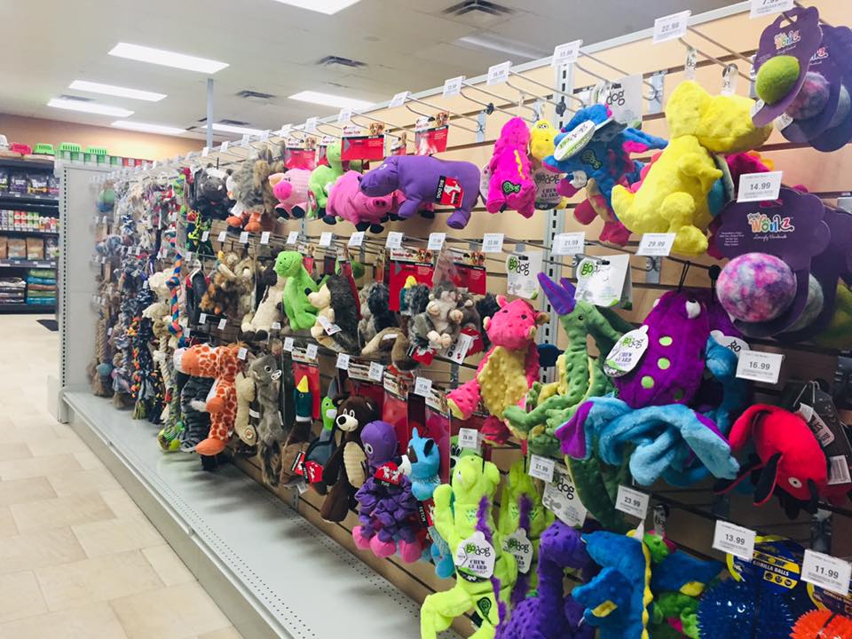 Pattes et Griffes | 13615 Boulevard Curé-Labelle, Mirabel, QC J7J 1K3, Canada | Phone: (579) 637-3929