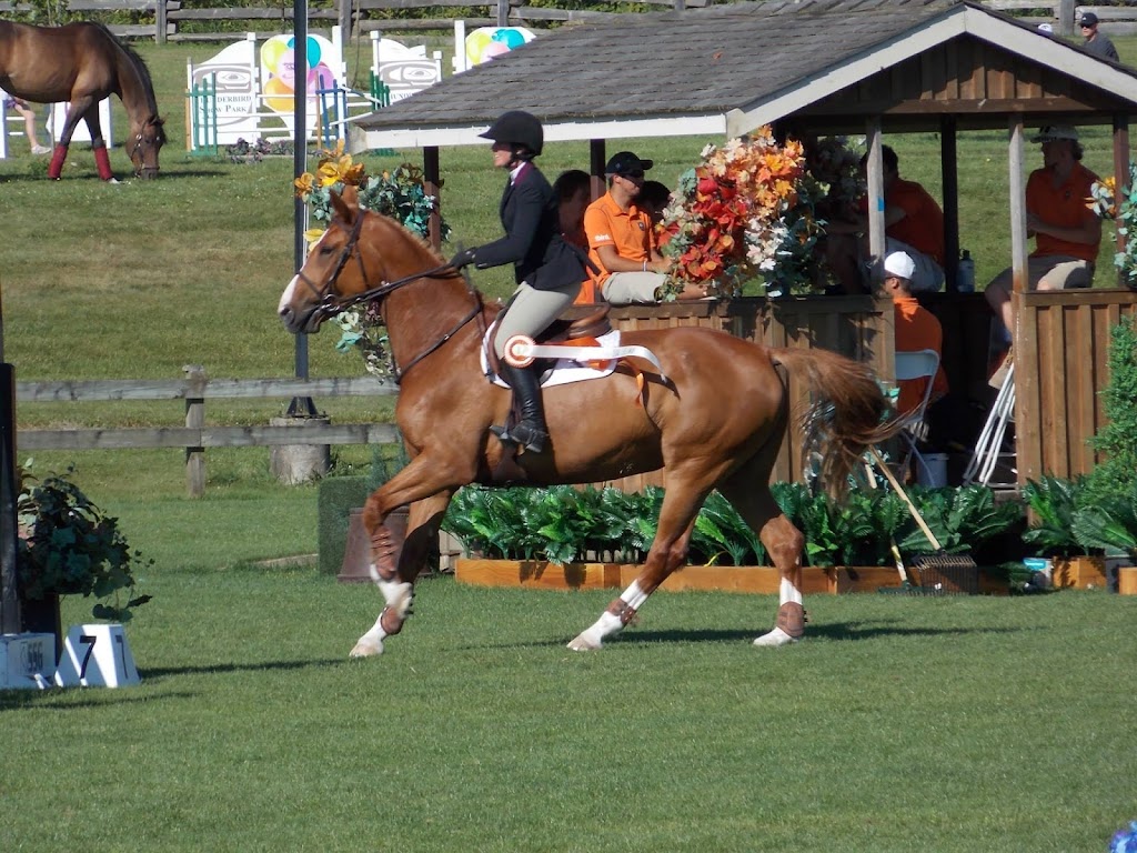 Cascadia Equestrian | 1511 Hovey Rd, Saanichton, BC V8M 1S7, Canada | Phone: (250) 580-2997