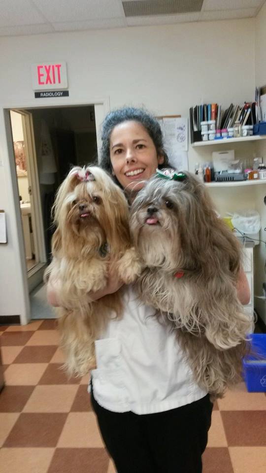 PetFocus Eastern Shore Veterinary Hospital | 5228 Highway 7, Porters Lake, NS B3E 1J8, Canada | Phone: (902) 827-4257
