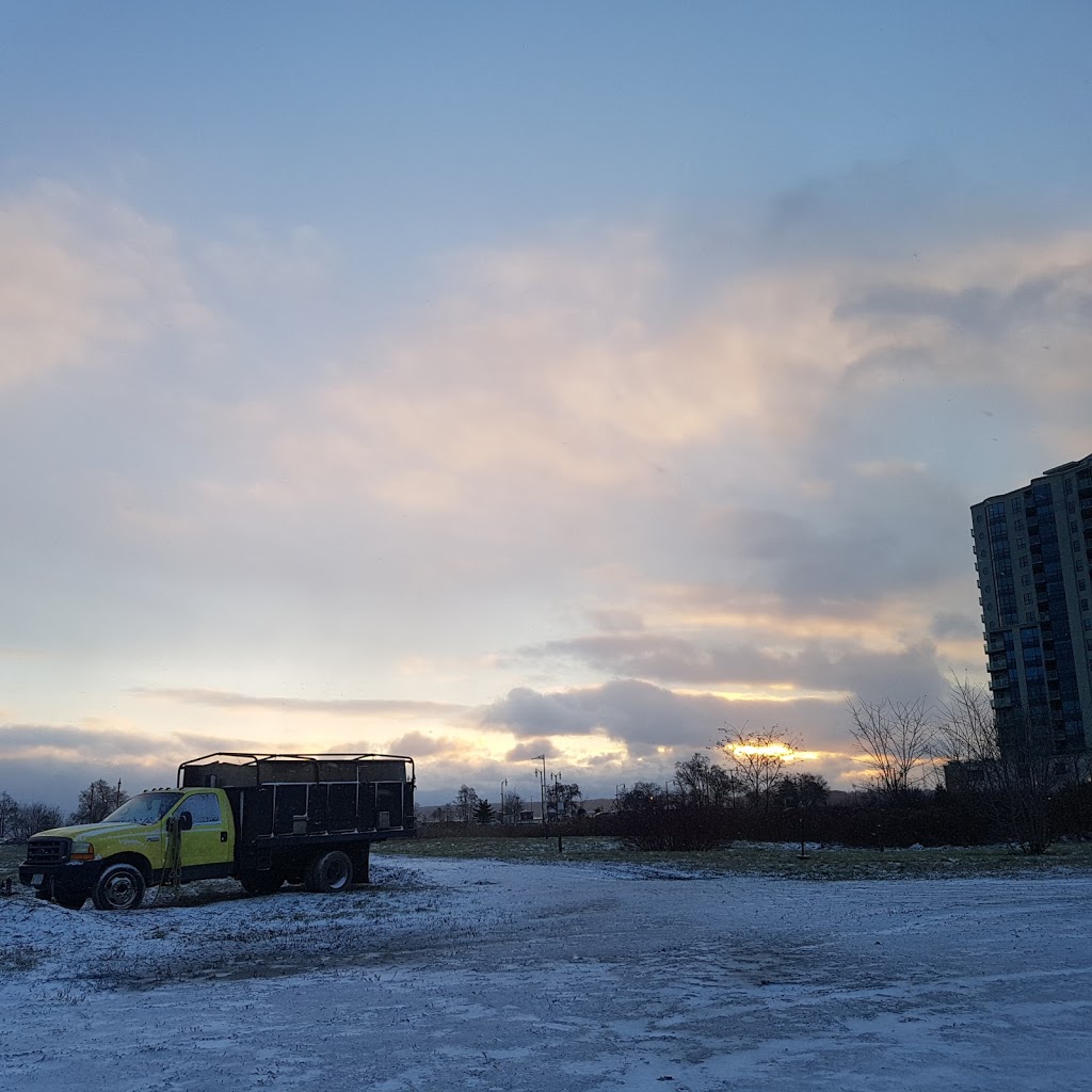 Tobys Tree Service | 81 McVeigh Dr, Barrie, ON L4N 7E4, Canada | Phone: (705) 791-6052
