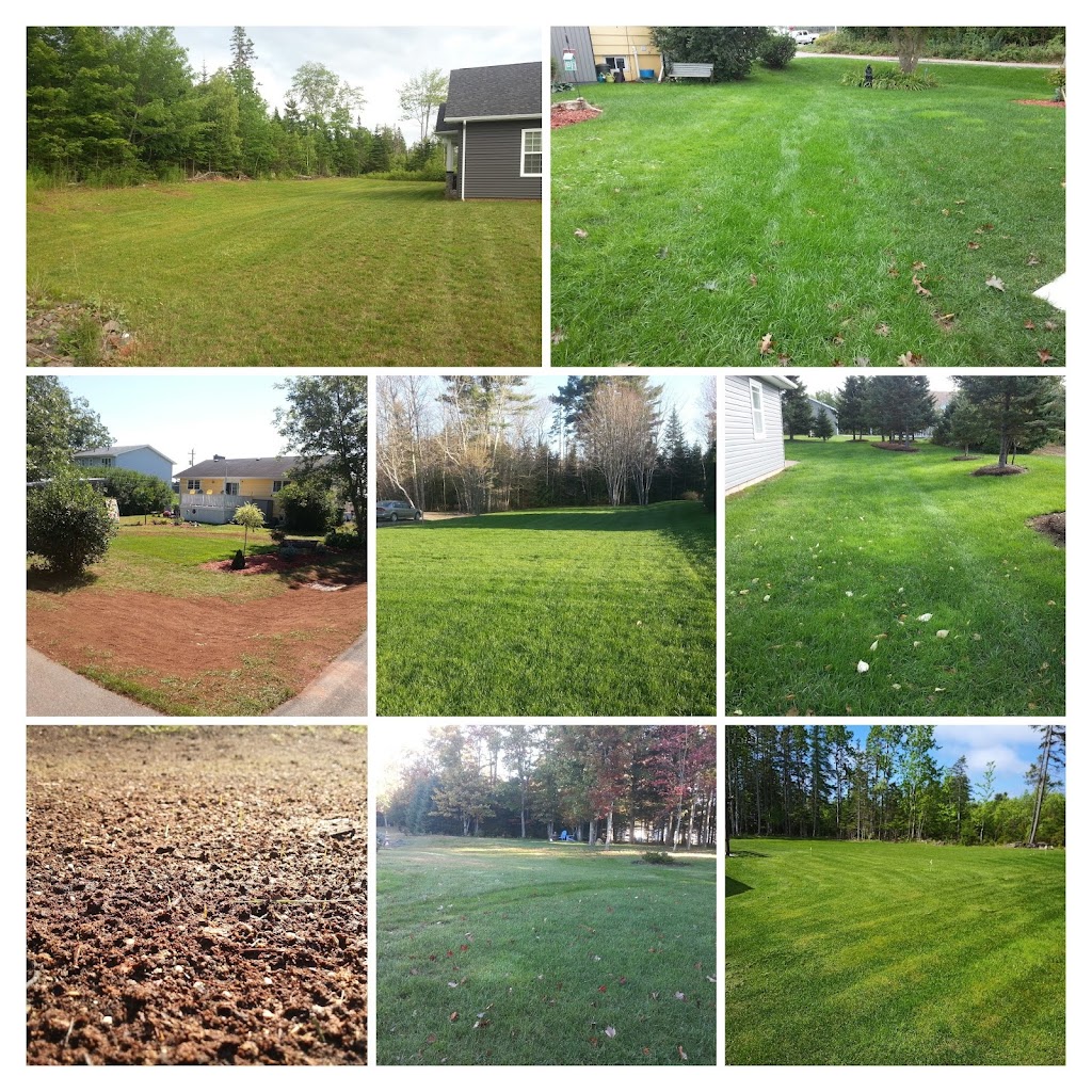 CTM Lawn Care | 47 Blanchard Ave, Truro, NS B2N 4K7, Canada | Phone: (902) 957-3571