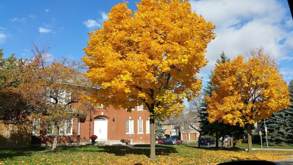 Forest Hill Park | 4995 Forest Hill Dr, Mississauga, ON L5M 5A7, Canada | Phone: (905) 615-4100