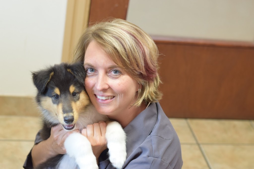 Romeo Pet Hospital | 782 Downie St, Stratford, ON N5A 1Y7, Canada | Phone: (519) 272-2100