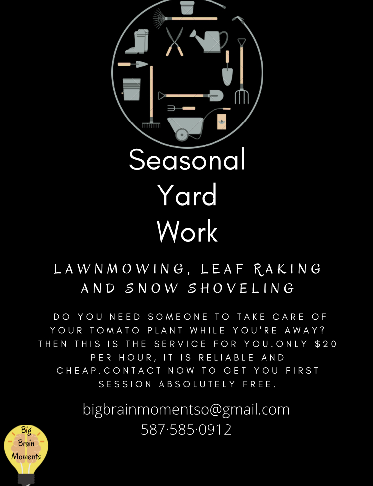 Big Brain Moments | 62 Crystal Shores Pl, Okotoks, AB T1S 2G3, Canada | Phone: (587) 585-0912