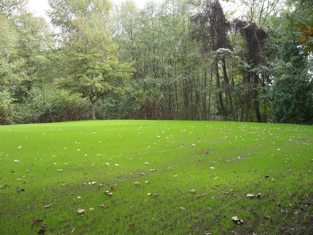 Everett Crowley Park | 8200 Kerr St, Vancouver, BC V5S 4G5, Canada | Phone: (604) 873-7000