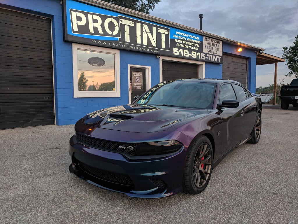 Pro Tint | 6550 Tecumseh Rd E, Windsor, ON N8T 1B6, Canada | Phone: (519) 915-8468