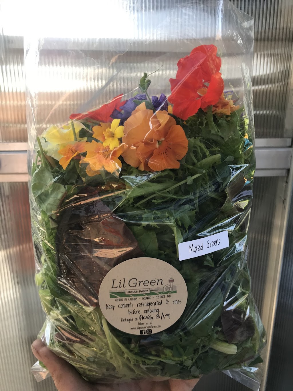 lil Green Urban Farm | 512 Thornhill Dr NW, Calgary, AB T2K 2R7, Canada | Phone: (403) 660-2103