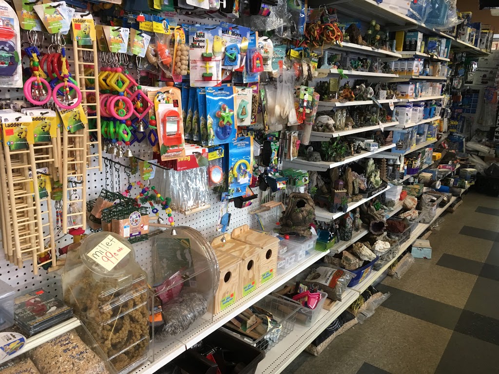 Puppies Fish & Critters | 7019 120 St, Delta, BC V4E 2A9, Canada | Phone: (604) 590-3727
