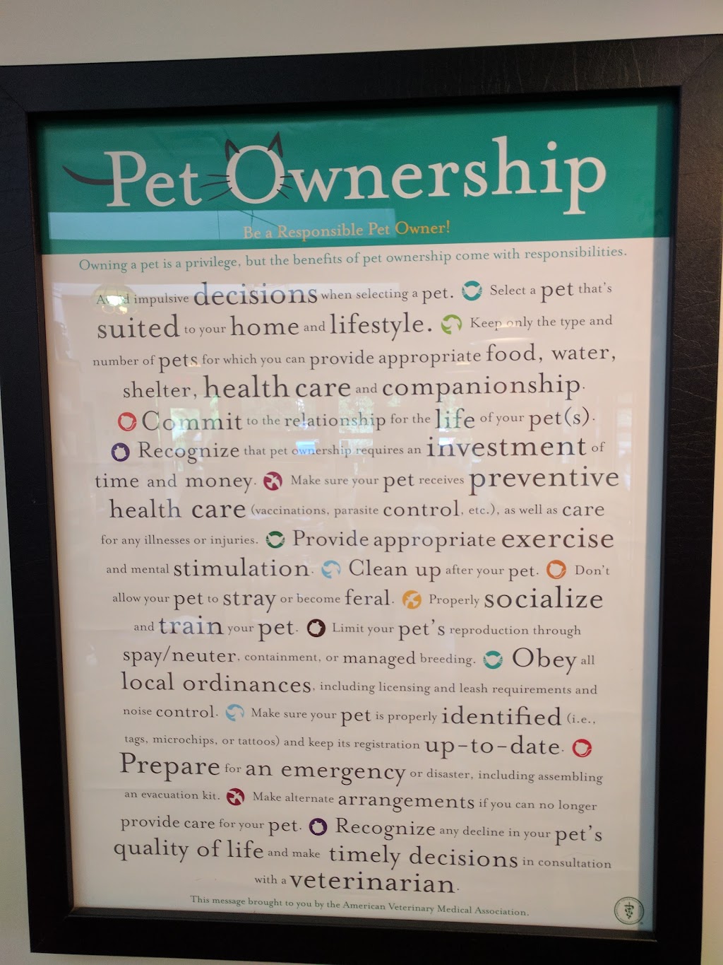 VCA Shamrock Animal Hospital | 1896 Guthrie Rd, Comox, BC V9M 3X7, Canada | Phone: (250) 339-2026