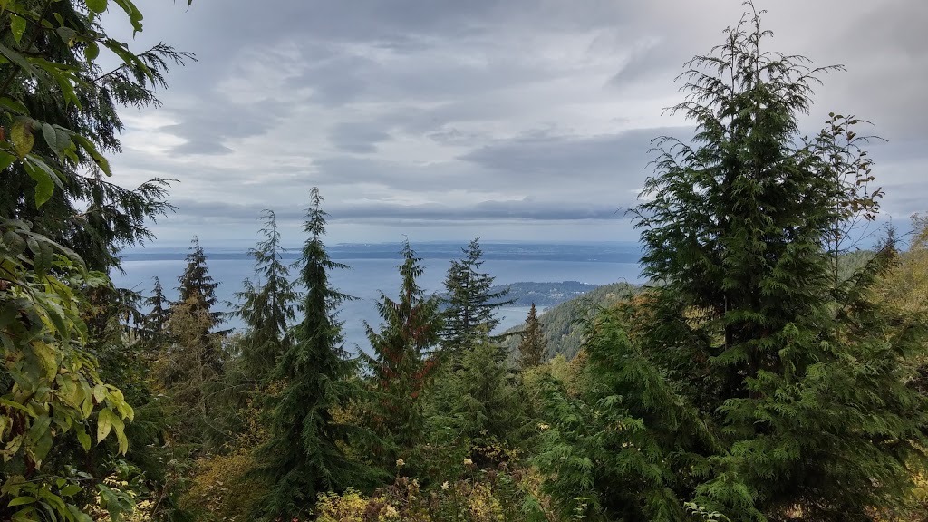 Cyrus Gates Overlook at Larrabee State Park | 224 Cleator Rd, Bellingham, WA 98229, USA | Phone: (360) 676-2093