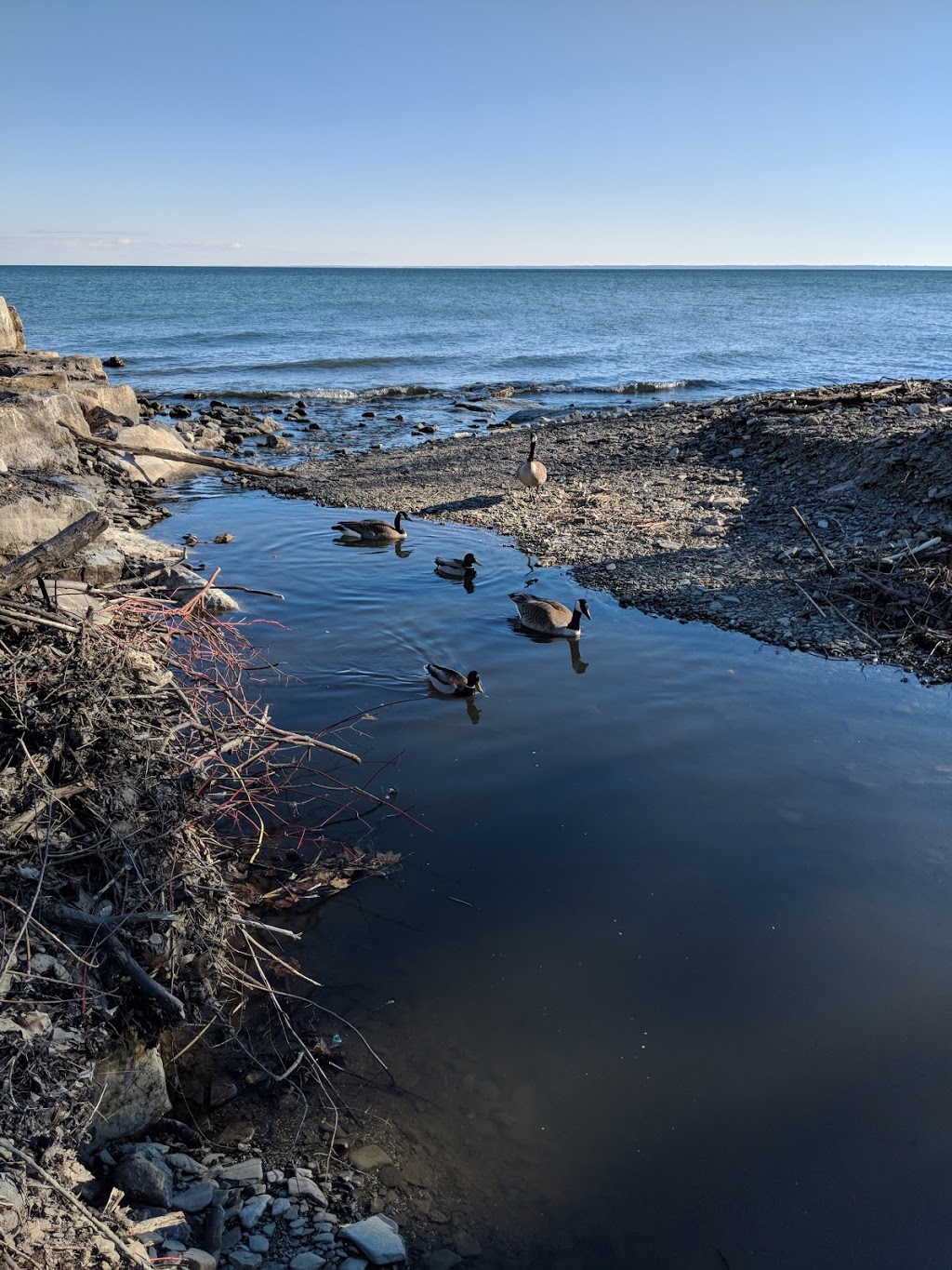Oakville Galleries | 1306 Lakeshore Rd E, Oakville, ON L6J 1L6, Canada | Phone: (905) 844-4402
