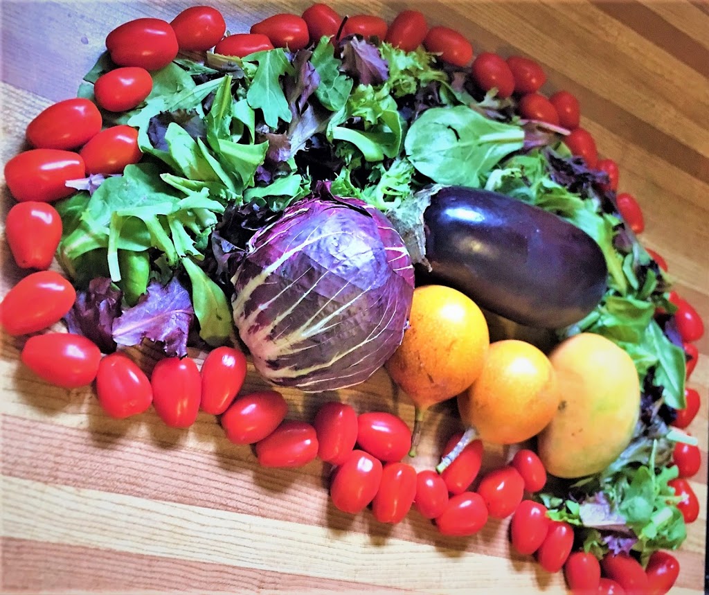 Registered Dietitian Nutritionist Personal Fitness Trainer | 12 Woodside Ct, Brampton, ON L6Y 3Z3, Canada | Phone: (416) 768-3361