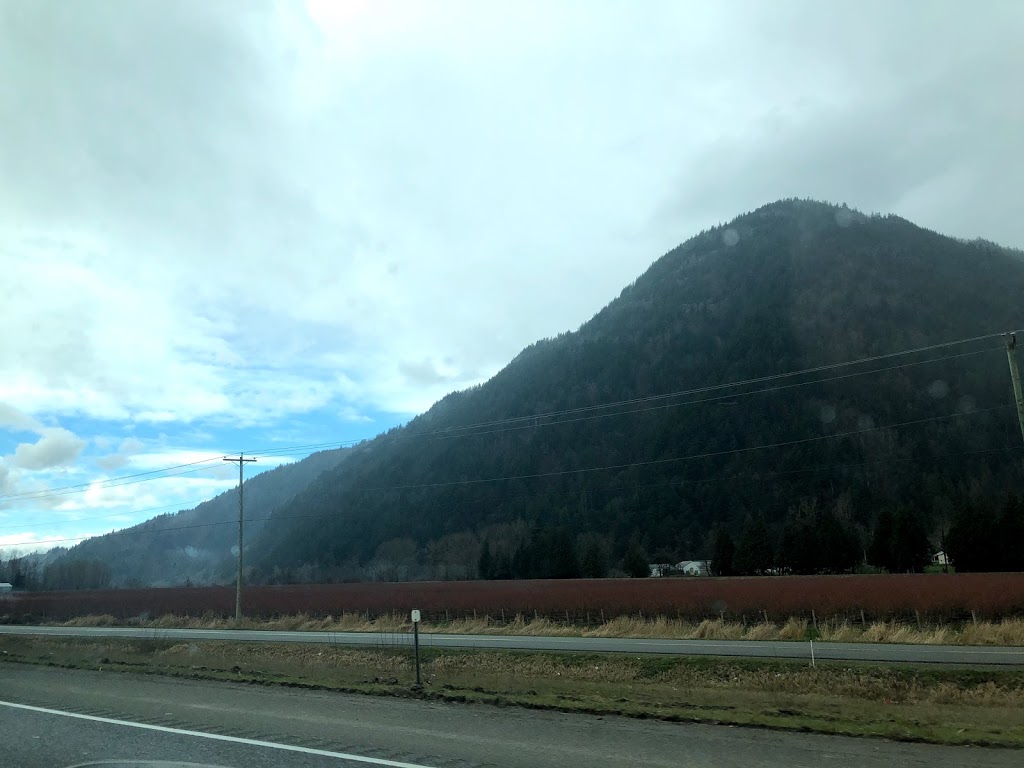 Precision Farm Supplies Ltd. | 5555 Interprovincial Hwy, Abbotsford, BC V3G 2P5, Canada | Phone: (778) 809-4858