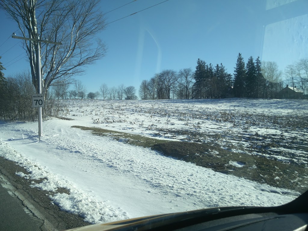 75 Manchester St | 75 Manchester St, Etobicoke, ON M8V 3V7, Canada
