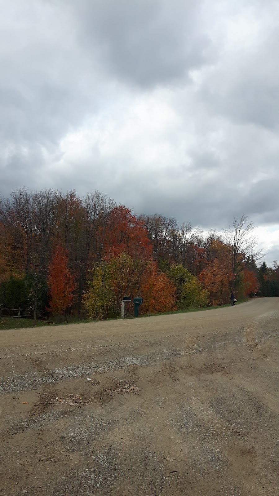 7th Line Parking Lot | 953151 7 Line E, Orangeville, ON L9W 2Z2, Canada