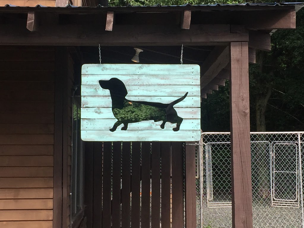 Centre Canin Des Cantons (Le) | 17 Rue Dupuis, Granby, QC J2H 1Y2, Canada | Phone: (450) 777-1819