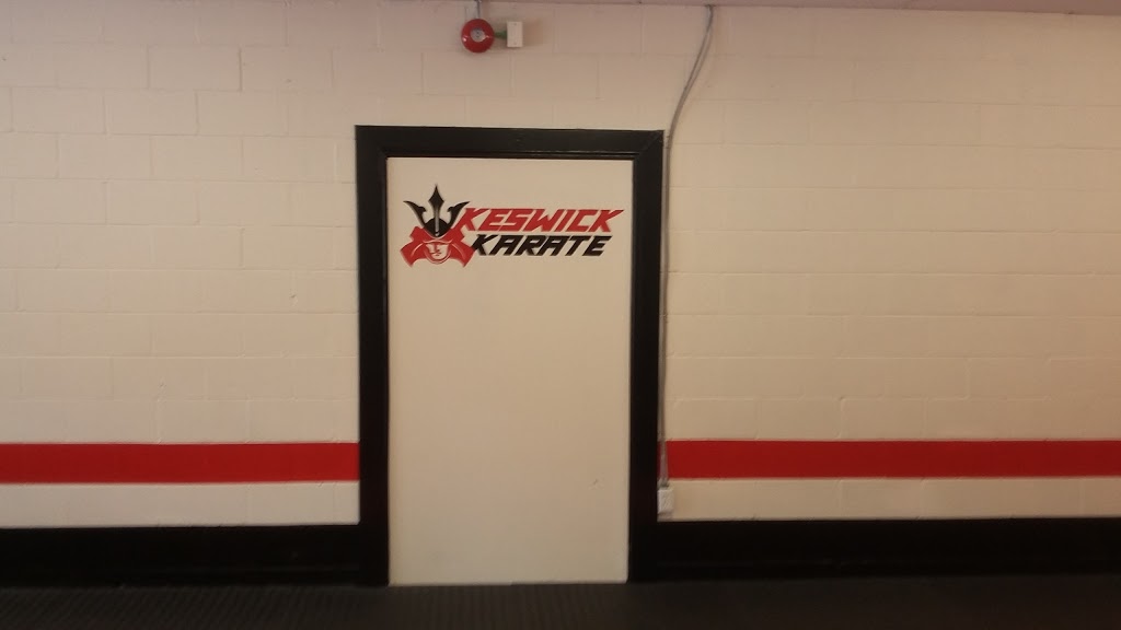 Keswick Karate | 131 The Queensway S #5, Keswick, ON L4P 1Z8, Canada | Phone: (647) 515-0179