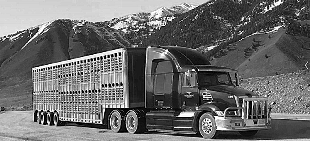 Roberge Transport Inc | Box 700, 1750 Stadacona St W, Moose Jaw, SK S6H 4P4, Canada | Phone: (800) 667-5190