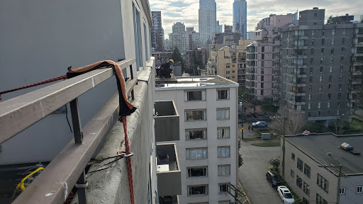 Solutions Pest Control | 2912 E 54th Ave, Vancouver, BC V5S 1Y5, Canada | Phone: (855) 858-9776