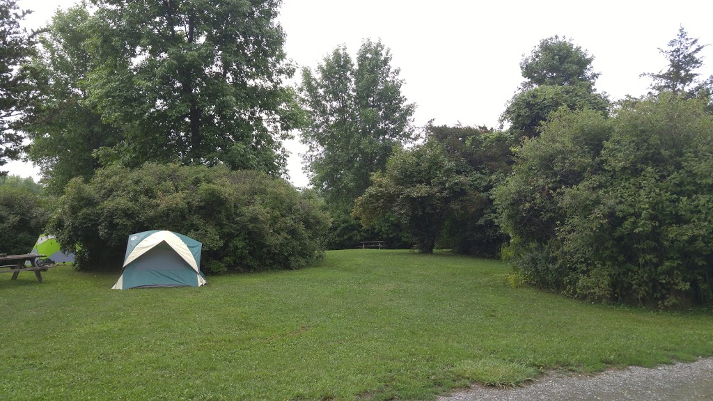 Bass Cove Family Campground | 5558 County Rd 8, Napanee, ON K7R 3K7, Canada | Phone: (613) 373-2651