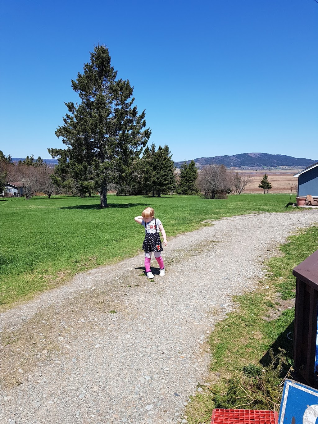 Studio On The Marsh | 255 Marys Point Rd, Harvey, NB E4H 2M8, Canada | Phone: (506) 882-2917
