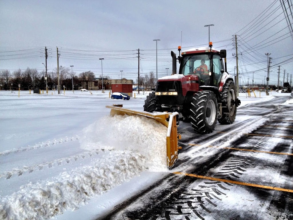 CSL Group Ltd. | 1326 Butter Rd W, Ancaster, ON L9G 3L1, Canada | Phone: (905) 648-7949