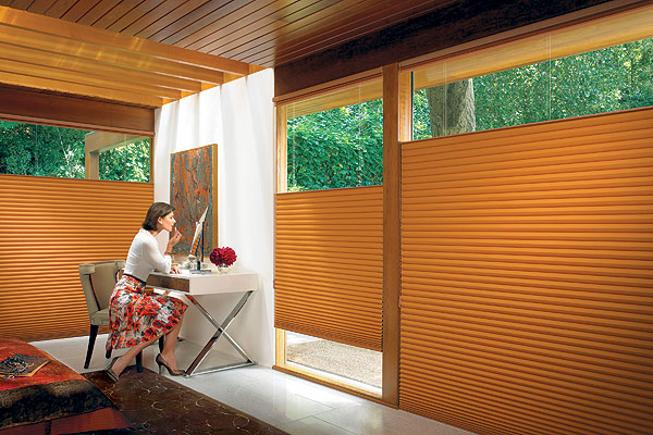 Accurate Blinds & Drapes | 46754 Braeside Ave, Chilliwack, BC V2R 5M6, Canada | Phone: (604) 819-3152