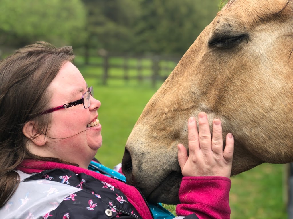Horse Discovery | Carmel Line, Cavan-Monaghan, ON L0A 1G0, Canada | Phone: (705) 932-2244