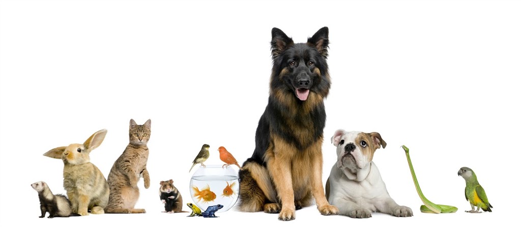 Ruffins Pet Centre (Fonthill) | 130 Hwy 20 E, Fonthill, ON L0S 1E0, Canada | Phone: (905) 892-3733